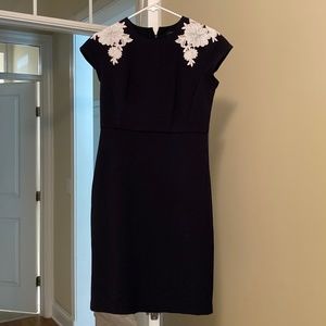 Ann Taylor Navy Dress